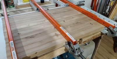 klejonka dębowa w ściskach